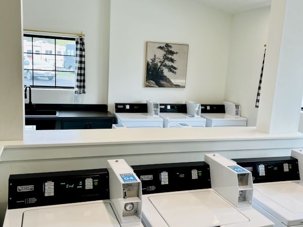 A row of coin-operated laundry machines in a bright, clean laundry room with a window and a decorative wall art piece, reflected in a large mirror.